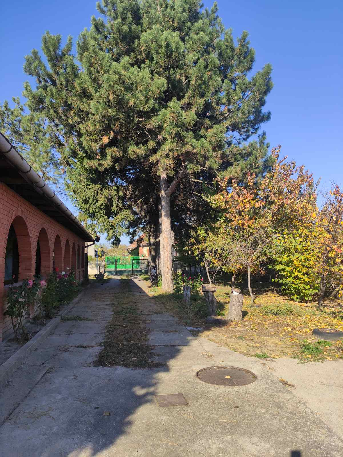 Kuća Novo Selo ID#890