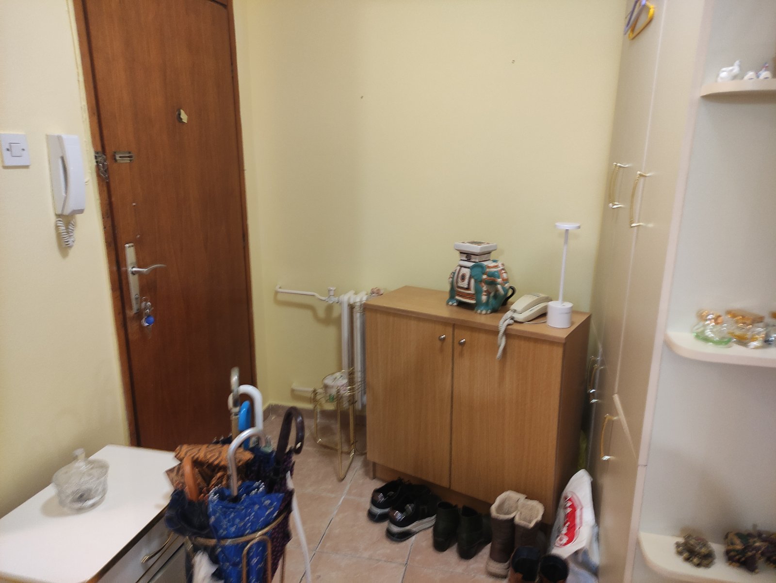 Stan Radijalac ID#907